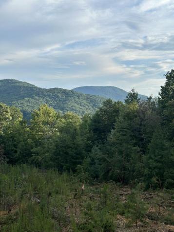 25 Acres Burgess Gap Road Morganton GA 30560