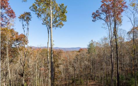 19R Settlement Trail Ellijay GA 30536
