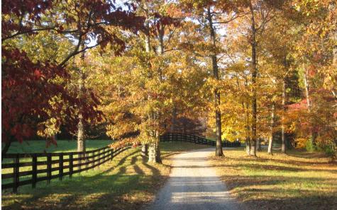 19R Settlement Trail Ellijay GA 30536