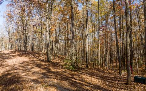 19R Settlement Trail Ellijay GA 30536