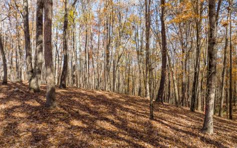 19R Settlement Trail Ellijay GA 30536