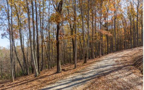 19R Settlement Trail Ellijay GA 30536