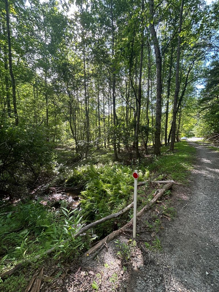 0 East Two Pond Lane Hayesville NC 28904