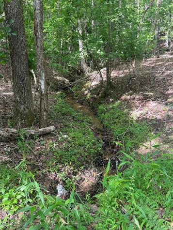 0 East Two Pond Lane Hayesville NC 28904