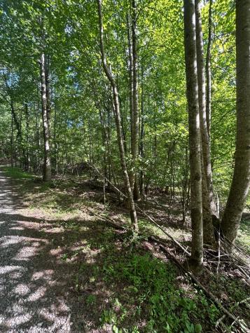 0 East Two Pond Lane Hayesville NC 28904