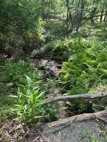 0 East Two Pond Lane Hayesville NC 28904