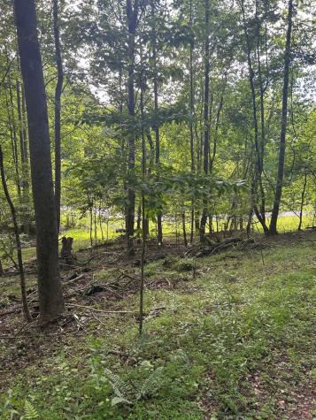 0 East Two Pond Lane Hayesville NC 28904