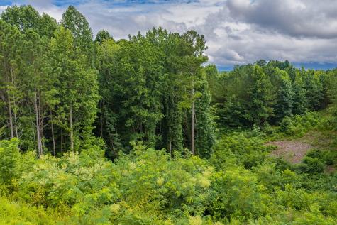 2027 Pleasant Valley Road Talking Rock GA 30175