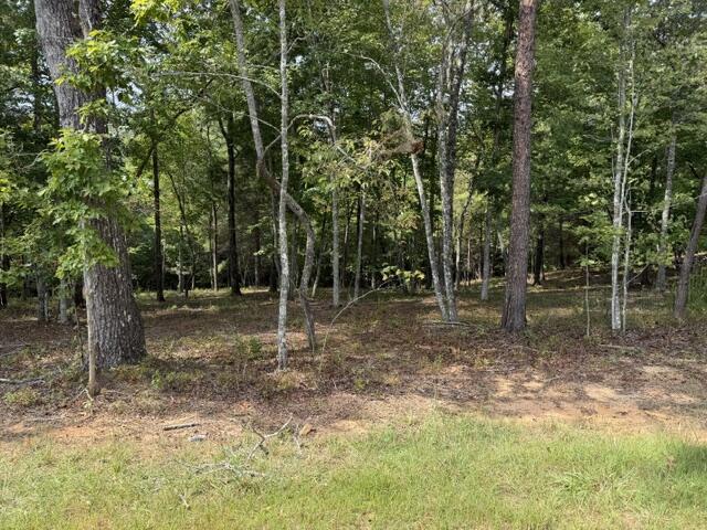 Lot 39 Tall Pine Trail Mineral Bluff GA 30559