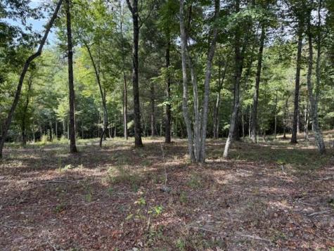Lot 39 Tall Pine Trail Mineral Bluff GA 30559