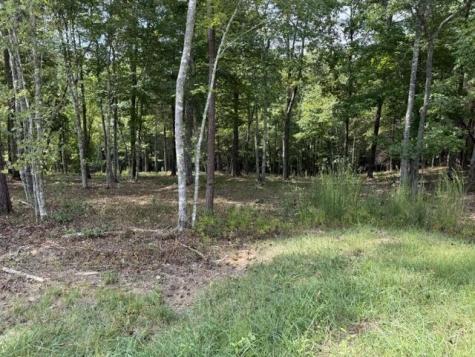 Lot 39 Tall Pine Trail Mineral Bluff GA 30559