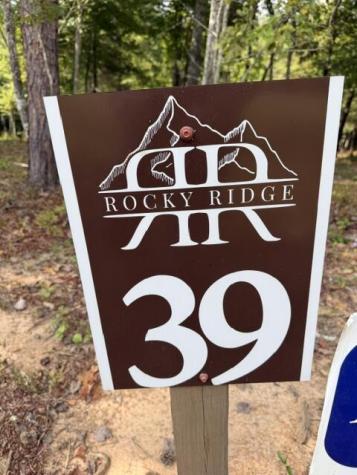 Lot 39 Tall Pine Trail Mineral Bluff GA 30559