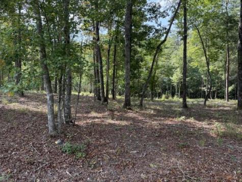 Lot 39 Tall Pine Trail Mineral Bluff GA 30559