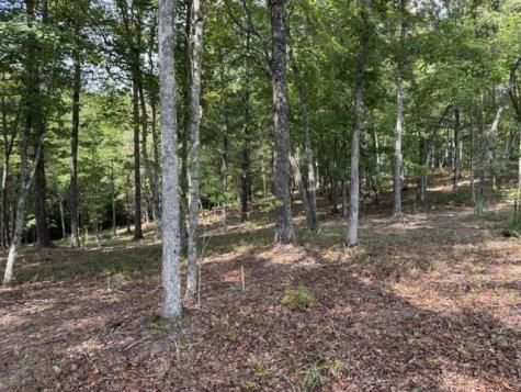 Lot 39 Tall Pine Trail Mineral Bluff GA 30559