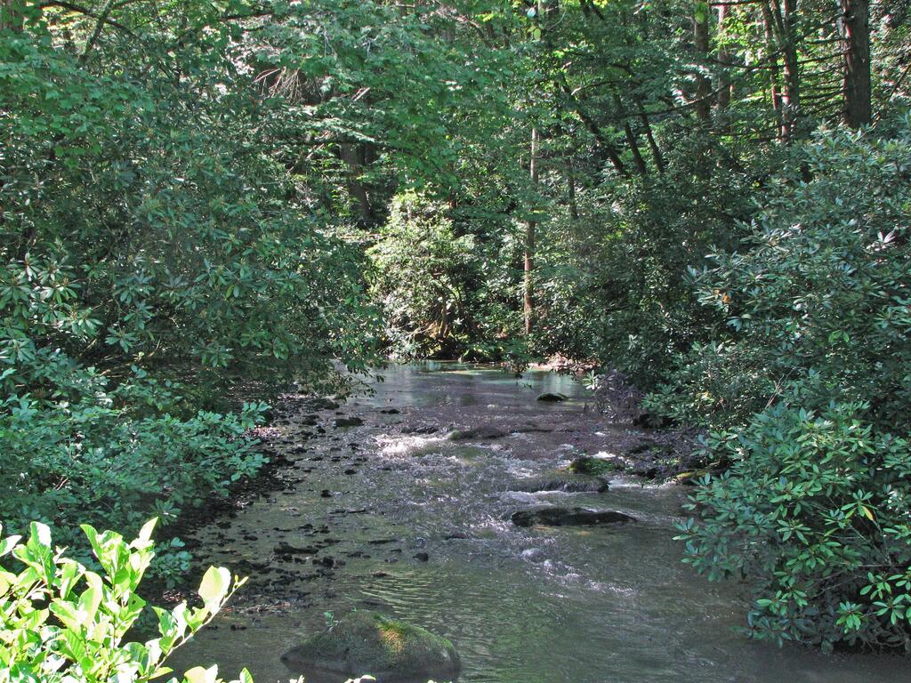 Lot 8 Snowbird Woods Drive Robbinsville NC 28771