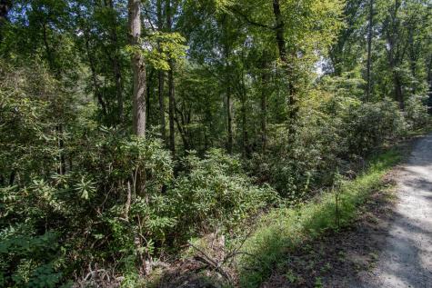 Lot 8 Snowbird Woods Drive Robbinsville NC 28771