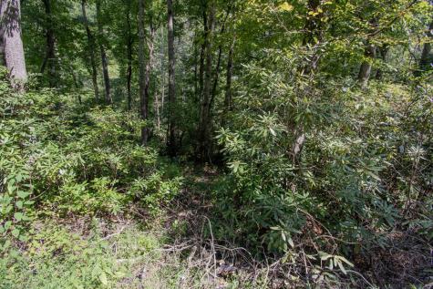 Lot 8 Snowbird Woods Drive Robbinsville NC 28771