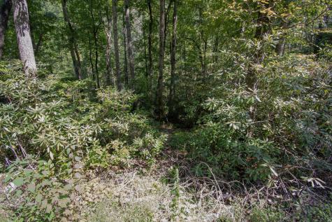 Lot 8 Snowbird Woods Drive Robbinsville NC 28771