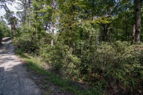 Lot 8 Snowbird Woods Drive Robbinsville NC 28771