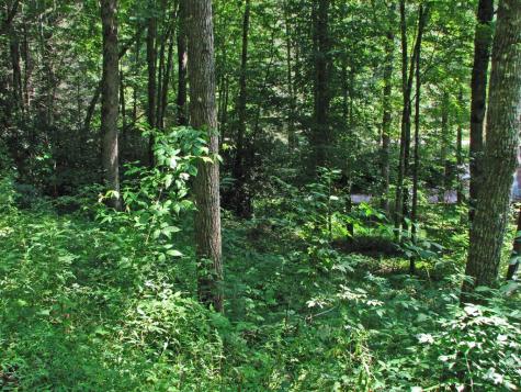 Lot 8 Snowbird Woods Drive Robbinsville NC 28771