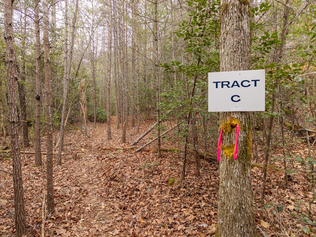 Trail C E New Hope Road E Ellijay GA 30536