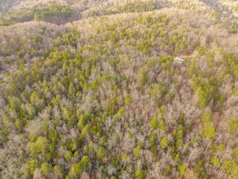 Trail C E New Hope Road E Ellijay GA 30536