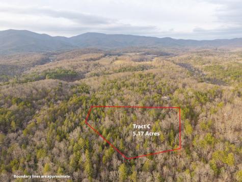 Trail C E New Hope Road E Ellijay GA 30536