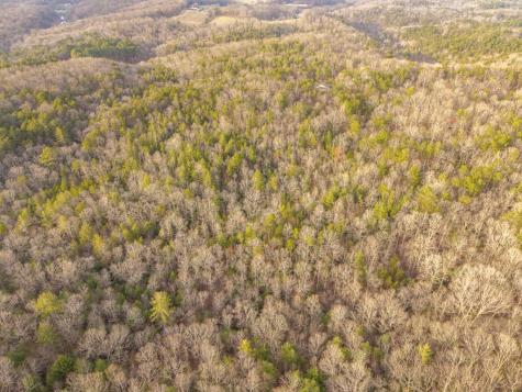 Trail C E New Hope Road E Ellijay GA 30536