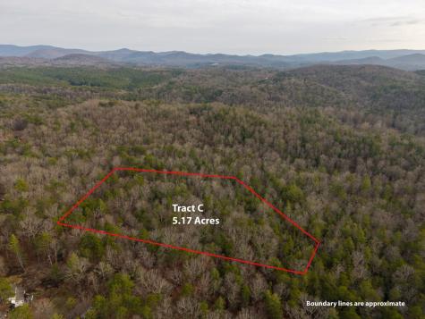 Trail C E New Hope Road E Ellijay GA 30536