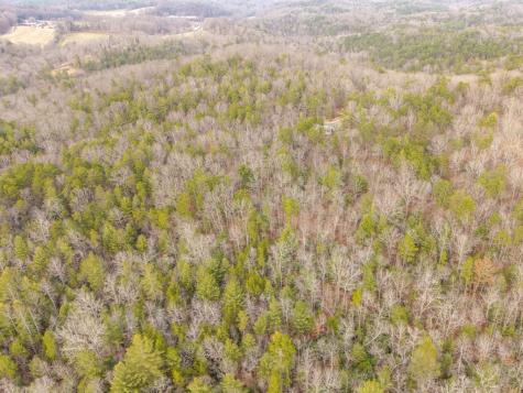 Trail C E New Hope Road E Ellijay GA 30536