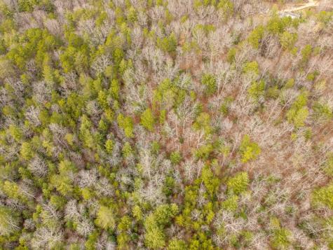 Trail C E New Hope Road E Ellijay GA 30536