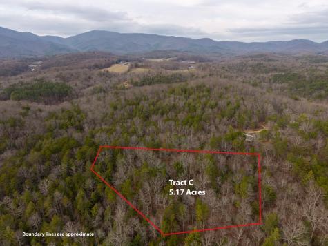 Trail C E New Hope Road E Ellijay GA 30536