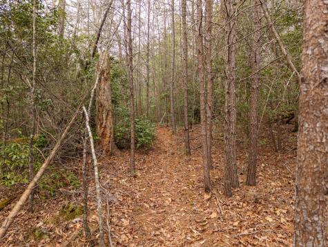 Trail C E New Hope Road E Ellijay GA 30536