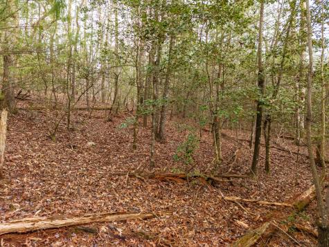 Trail C E New Hope Road E Ellijay GA 30536