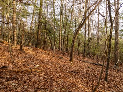 Trail C E New Hope Road E Ellijay GA 30536