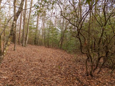 Trail C E New Hope Road E Ellijay GA 30536
