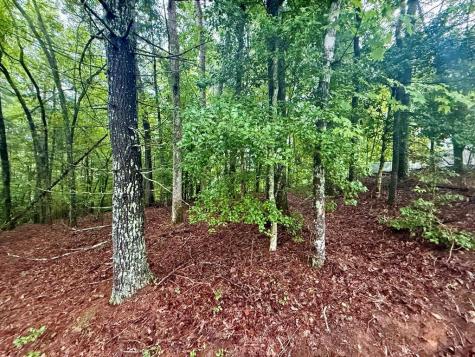 Lot 15 White Pine Ridge Hayesville NC 28904