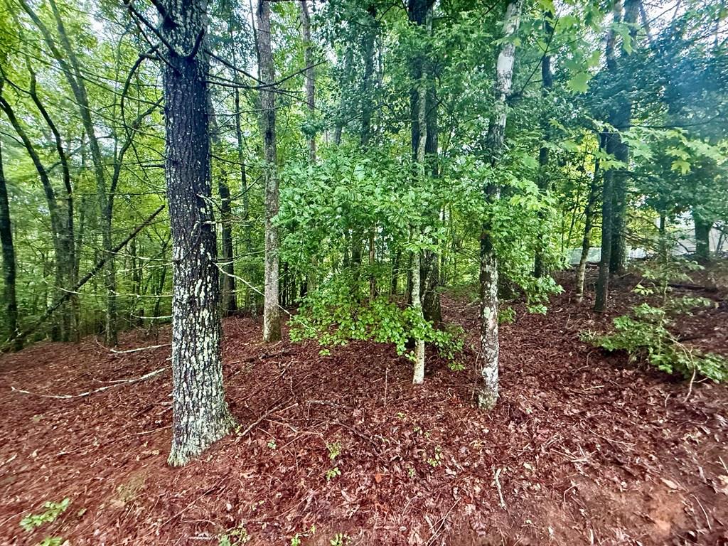 Lot 15 White Pine Ridge Hayesville NC 28904