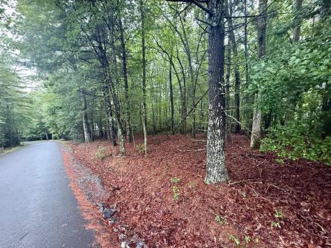 Lot 15 White Pine Ridge Hayesville NC 28904