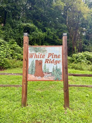 Lot 15 White Pine Ridge Hayesville NC 28904