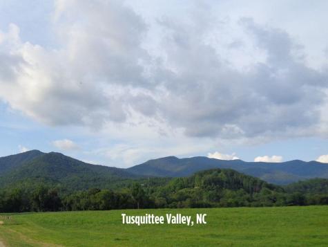 Lot 15 White Pine Ridge Hayesville NC 28904