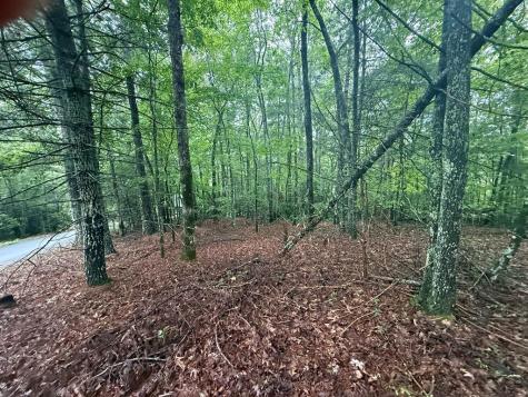 Lot 15 White Pine Ridge Hayesville NC 28904