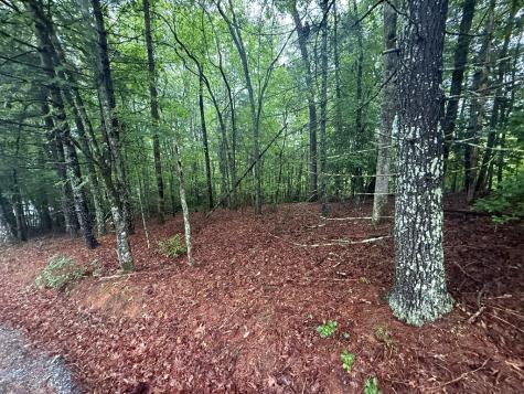Lot 15 White Pine Ridge Hayesville NC 28904