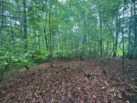 Lot 15 White Pine Ridge Hayesville NC 28904