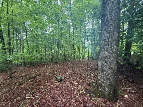 Lot 15 White Pine Ridge Hayesville NC 28904