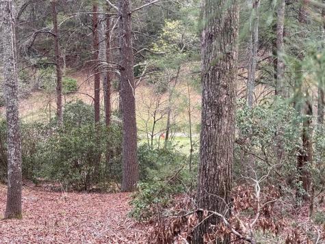 Lot 43 Seneca Drive Ellijay GA 30540