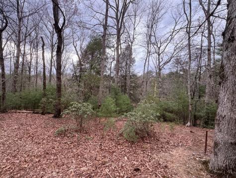 Lot 43 Seneca Drive Ellijay GA 30540
