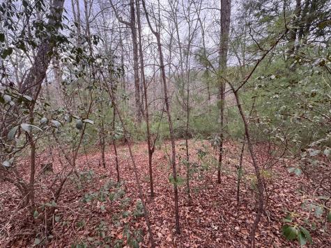 Lot 43 Seneca Drive Ellijay GA 30540