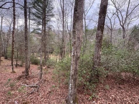 Lot 43 Seneca Drive Ellijay GA 30540