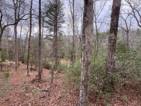 Lot 43 Seneca Drive Ellijay GA 30540